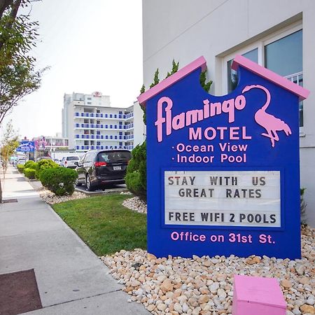 Flamingo Motel Ocean City Exterior photo