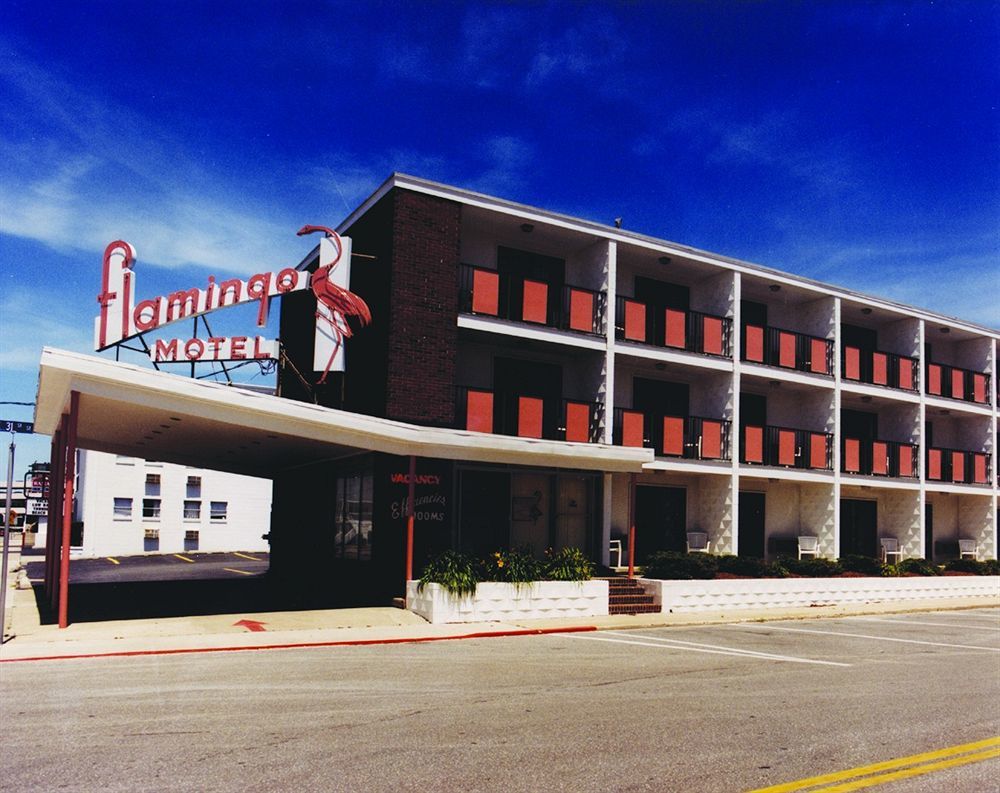 Flamingo Motel Ocean City Exterior photo